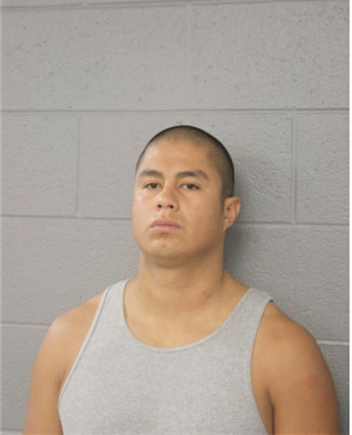 OMAR BERRONES, Cook County, Illinois