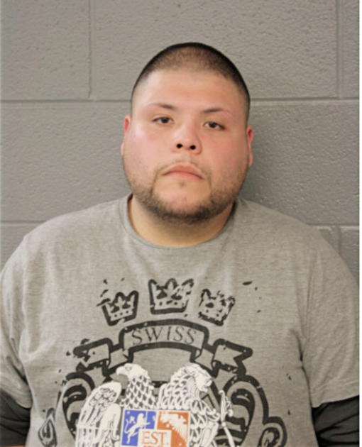 ADRIAN BRAVO, Cook County, Illinois