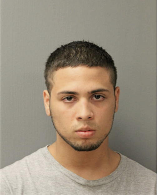 RENE E DE LA ROSA, Cook County, Illinois