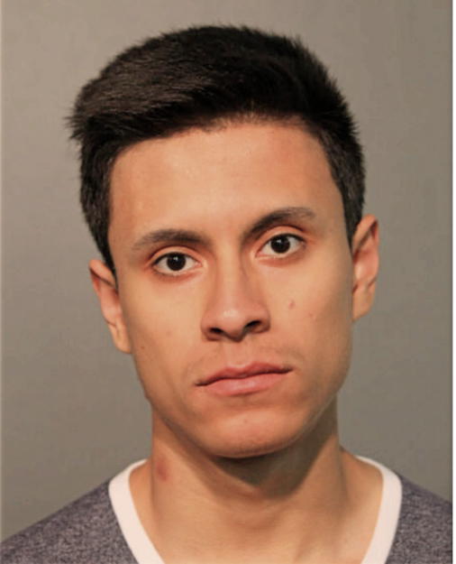 BYRYAN FLORES, Cook County, Illinois