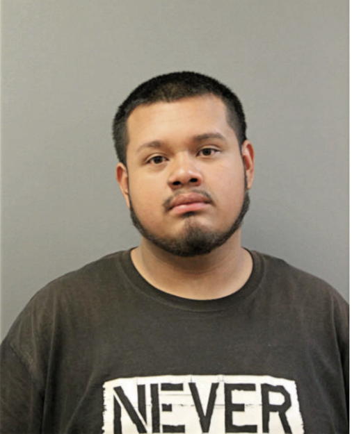 RICARDO FLORES, Cook County, Illinois