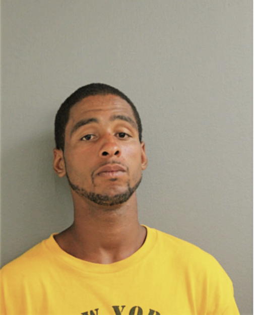 NIKITA D HAMPTON, Cook County, Illinois