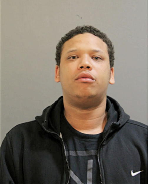DAVID L HOLMES, Cook County, Illinois