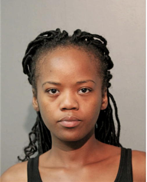 STEPHANIE N JOHNSON, Cook County, Illinois