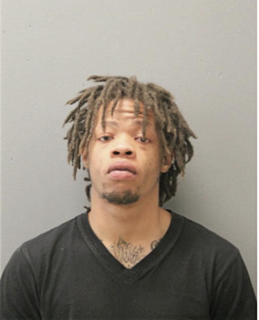 JAMISON G LOWE, Cook County, Illinois