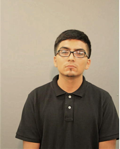 JOSUE E MENDOZA BARRERA, Cook County, Illinois