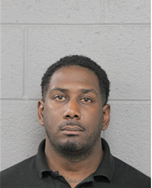 RYAN L MILES, Cook County, Illinois