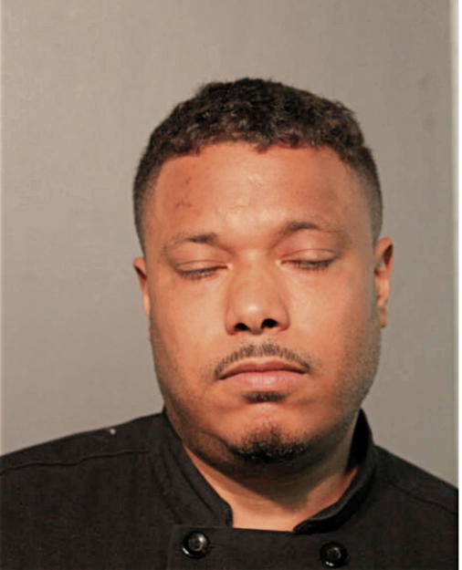 JASON C NOEL, Cook County, Illinois