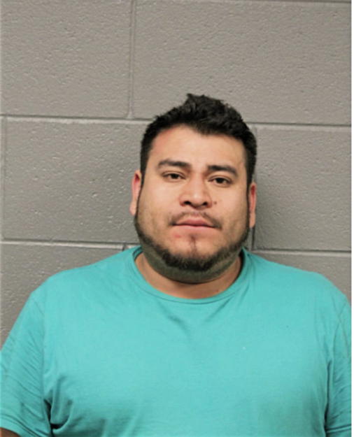 CARLOS ORTIZ, Cook County, Illinois