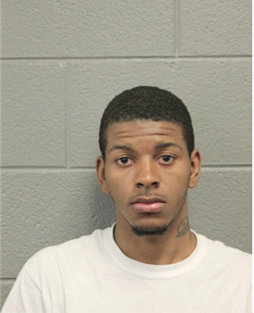 MICHAEL K RAGGS, Cook County, Illinois