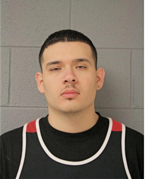 ALEJANDRO SALAS, Cook County, Illinois