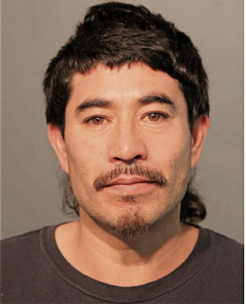 SILVANO SILVA, Cook County, Illinois