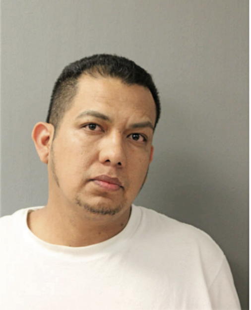 IGNACIO TORRES-DIAZ, Cook County, Illinois