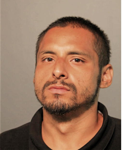 FRANCISCO VEGA, Cook County, Illinois