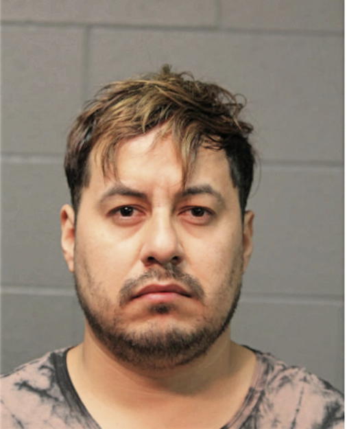 SAUL ALCANTARA, Cook County, Illinois
