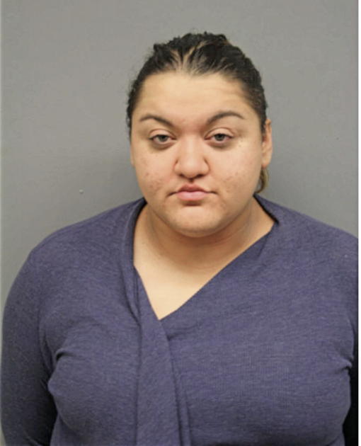 VIVIANA AMAYA, Cook County, Illinois