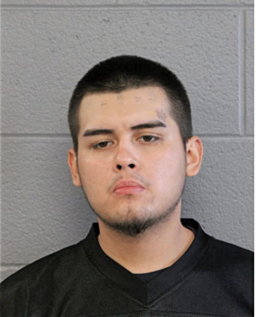 CHRISTIAN A ARREDONDO, Cook County, Illinois