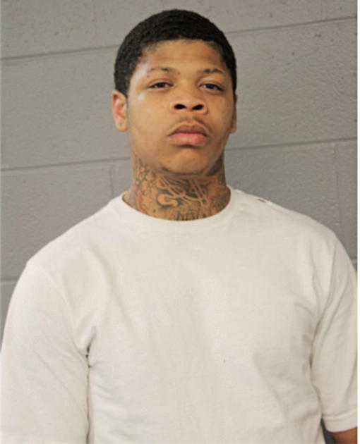 LOREN J AUSTIN, Cook County, Illinois