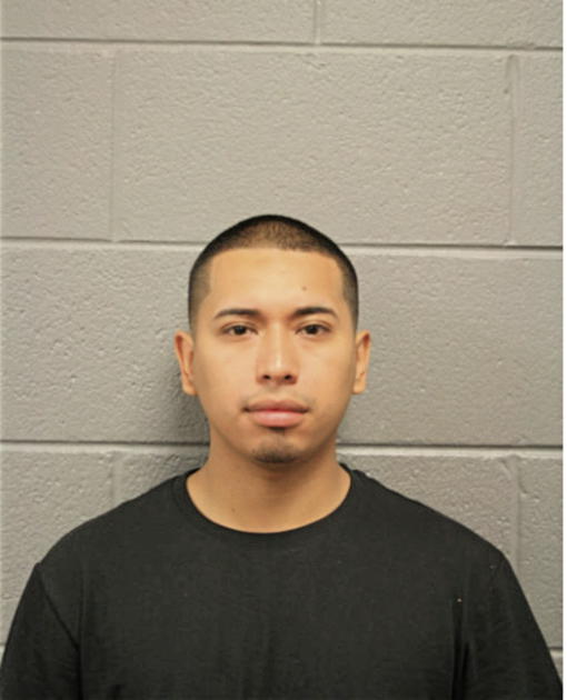 BERTIN AVELAR, Cook County, Illinois