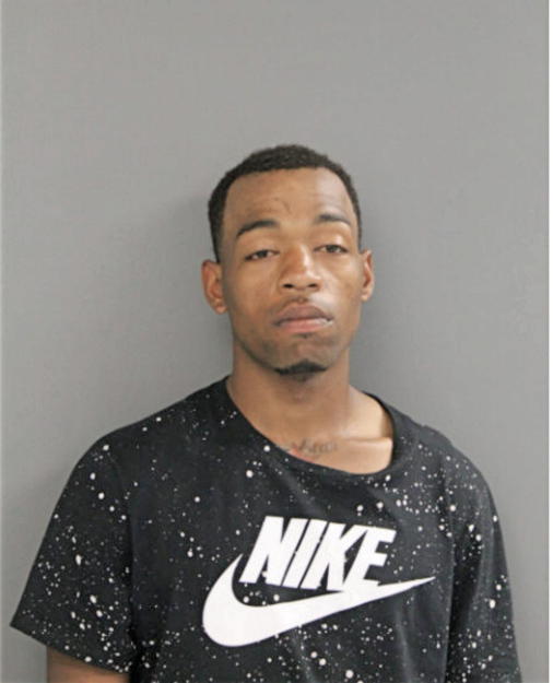 TYVON L BIRTH, Cook County, Illinois
