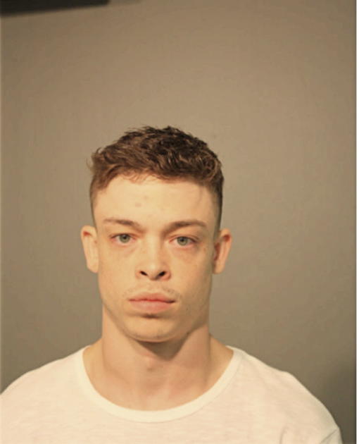 NICK A BRINDISE, Cook County, Illinois