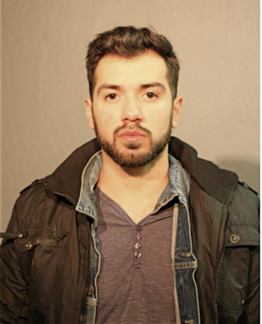 RAYMOND L COSTELLO, Cook County, Illinois