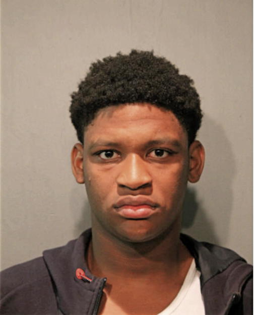 MICHAEL M DAVIS, Cook County, Illinois