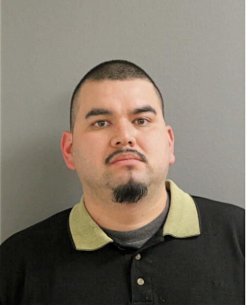CHRISTIAN F DELACRUZ, Cook County, Illinois