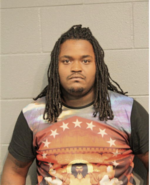 DAVID I FREEMAN, Cook County, Illinois