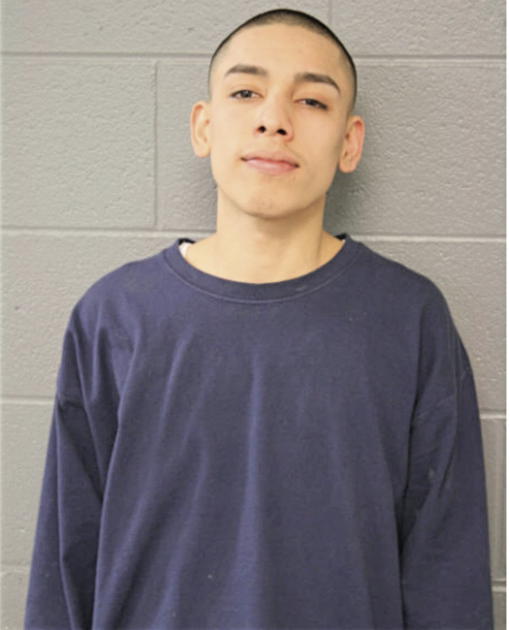 JESUS GALLEGOS, Cook County, Illinois