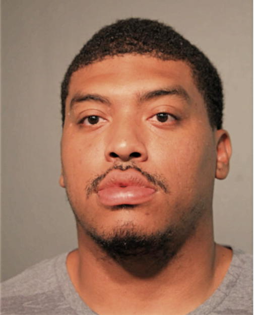 MICHAEL A GARDNER, Cook County, Illinois