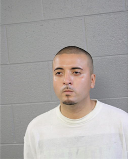 VICTOR G IBARRA, Cook County, Illinois