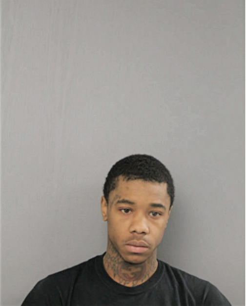 KEVIN L JACKSON, Cook County, Illinois