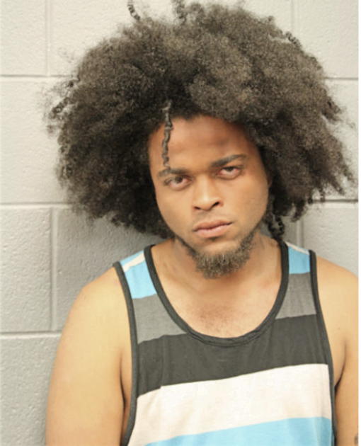 KALAN S MABINS, Cook County, Illinois