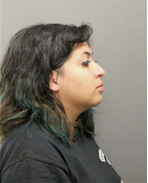 TAMARA MERCADO, Cook County, Illinois