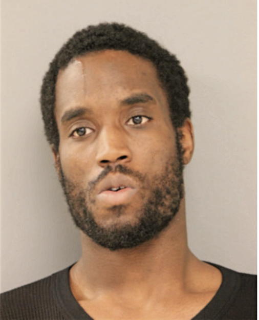 LAMAR S NORFLEET, Cook County, Illinois