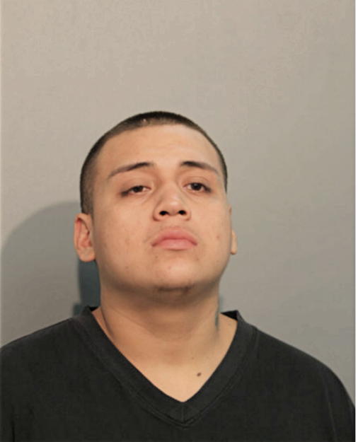 GAEL R TELLEZ, Cook County, Illinois
