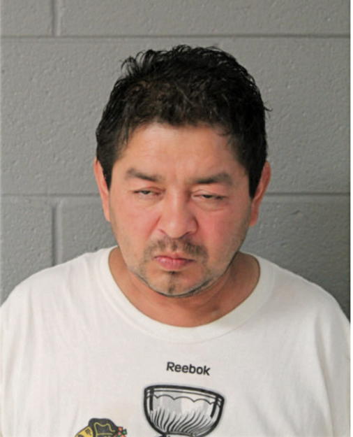 ALFREDO VILLASENOR-ARMETA, Cook County, Illinois