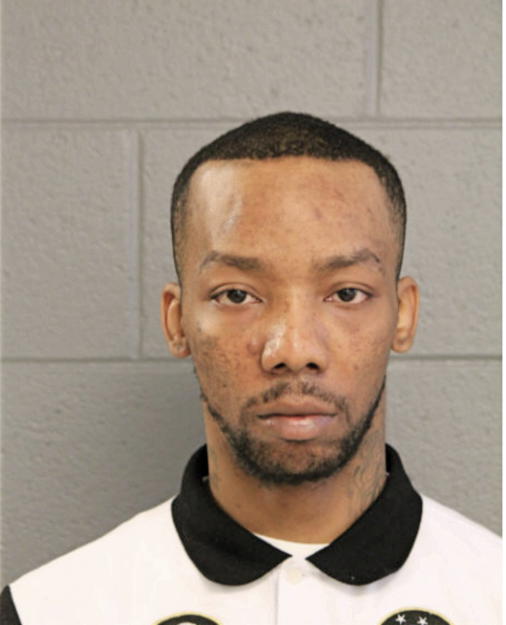 JAMES E WILLIAMS, Cook County, Illinois