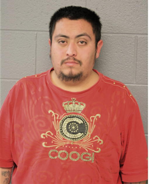 JUAN M ALANIS, Cook County, Illinois