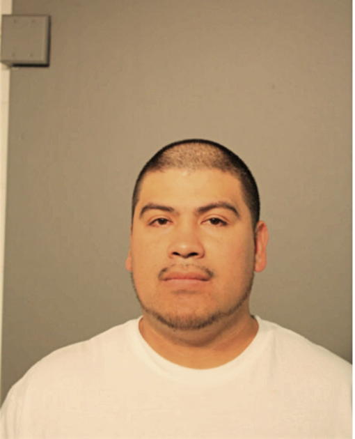 GREGORIO ALVAREZ, Cook County, Illinois