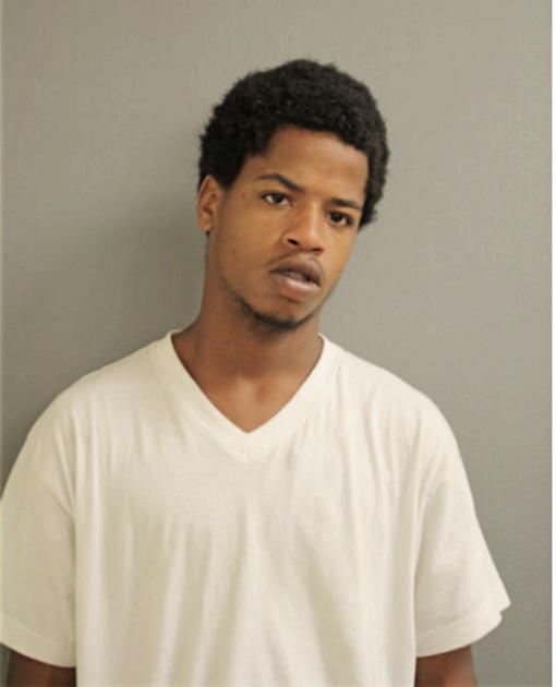 DAVID L FORD, Cook County, Illinois