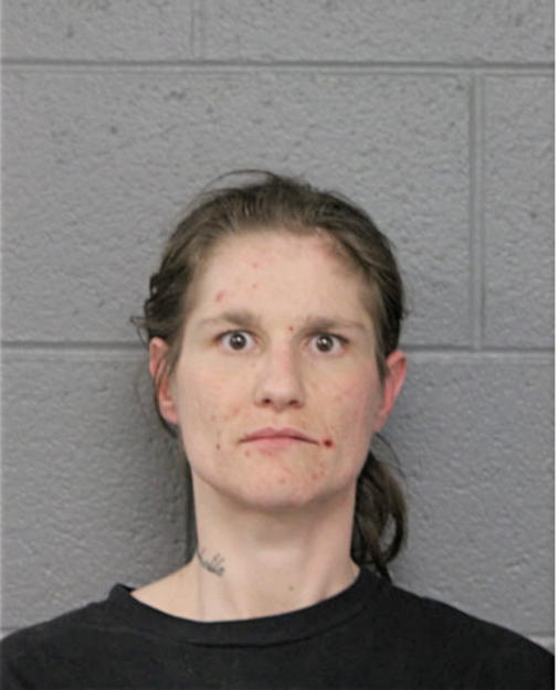 AMANDA C FRENDEN, Cook County, Illinois