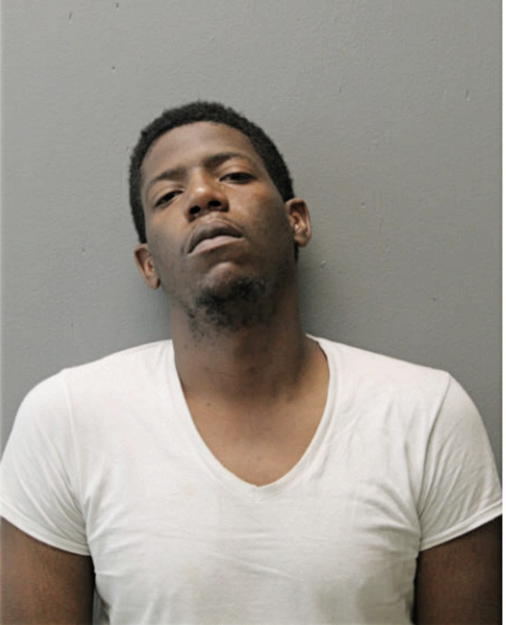 JEREMIE R JOHNSON, Cook County, Illinois