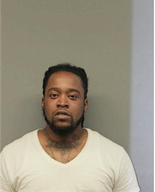DAVID L JONES, Cook County, Illinois