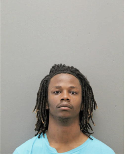 LAVONTE L LANE, Cook County, Illinois