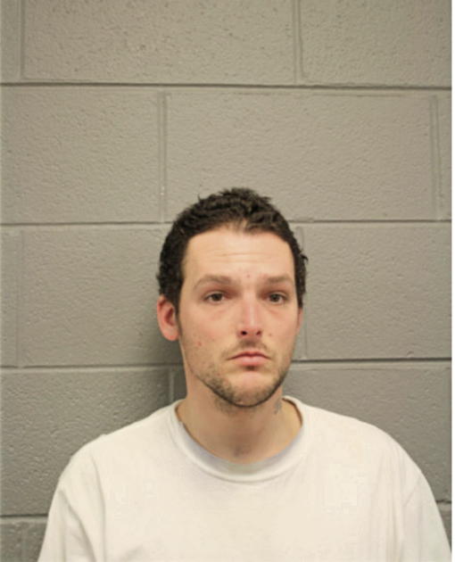 TRAVIS Q LANIER, Cook County, Illinois