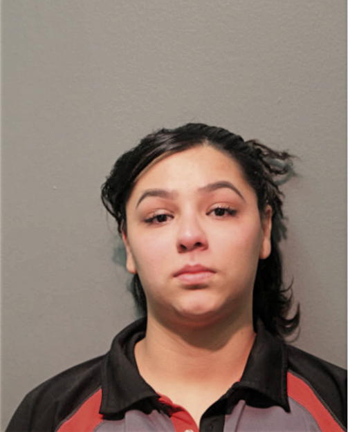 DIANA E LOPEZ, Cook County, Illinois