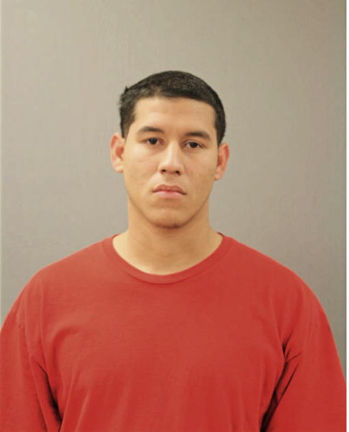 IRVIN A MENDOZA, Cook County, Illinois