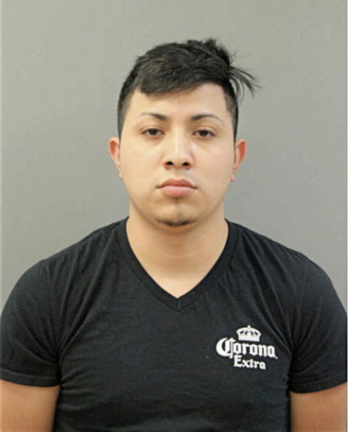MARIO A MONDRAGON, Cook County, Illinois